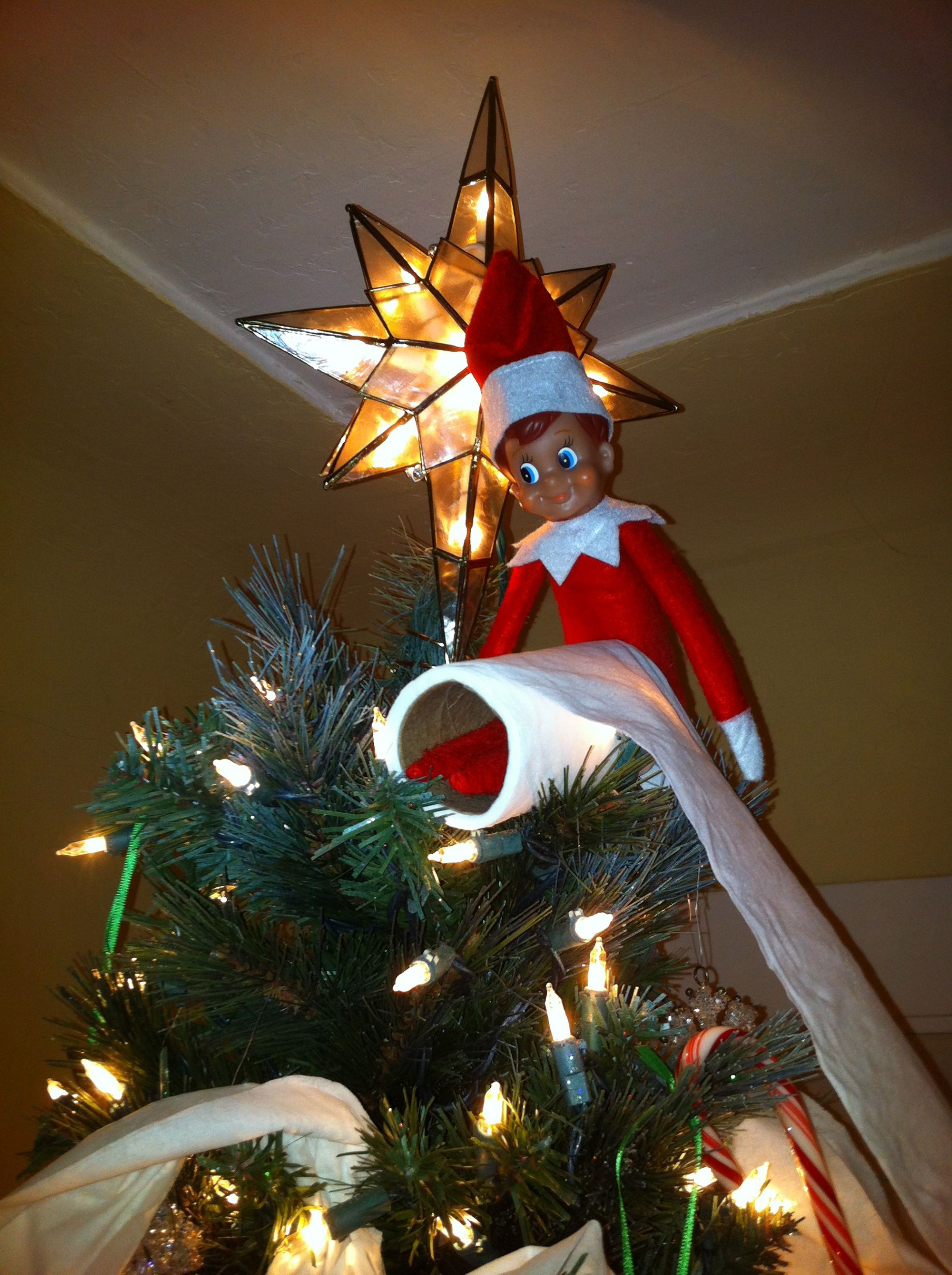 Elf on the Shelf TP on the Christmas Tree  Awesome elf on the