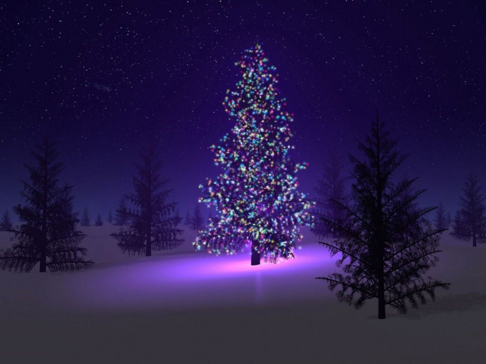 Festive Christmas Tree Wallpapers