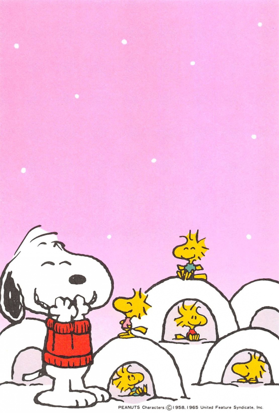 JAPAN – Hallmark  Snoopy wallpaper, Funny christmas pictures