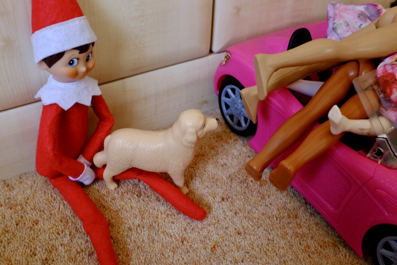Naughty Elf on the Shelf -  Ideas for the Adults! - Run Jump Scrap!