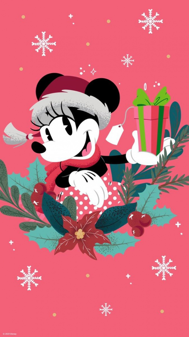 Pin by Michelle Ferguson-Mingus on Everything DISNEY!  Christmas