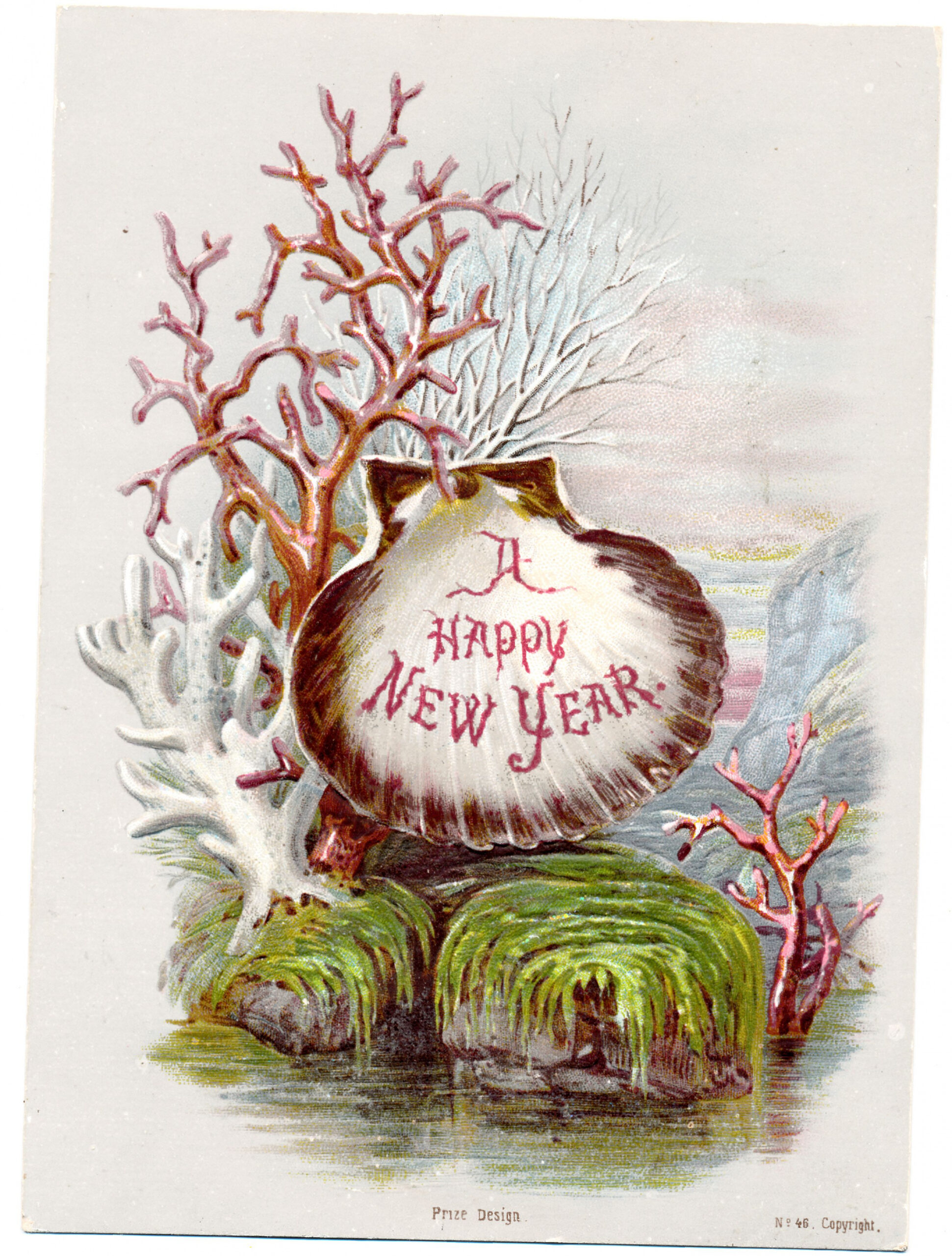 Victorian Seashell New Year Card  Vintage christmas cards