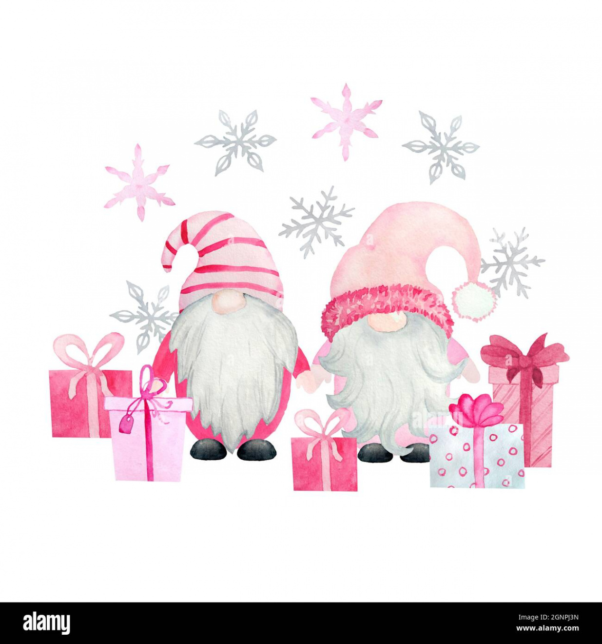 Watercolor hand drawn illustration with pink Christmas gnomes, new