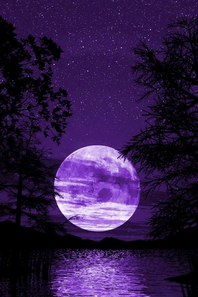53+ Purple Background Iphone HD Quality 46