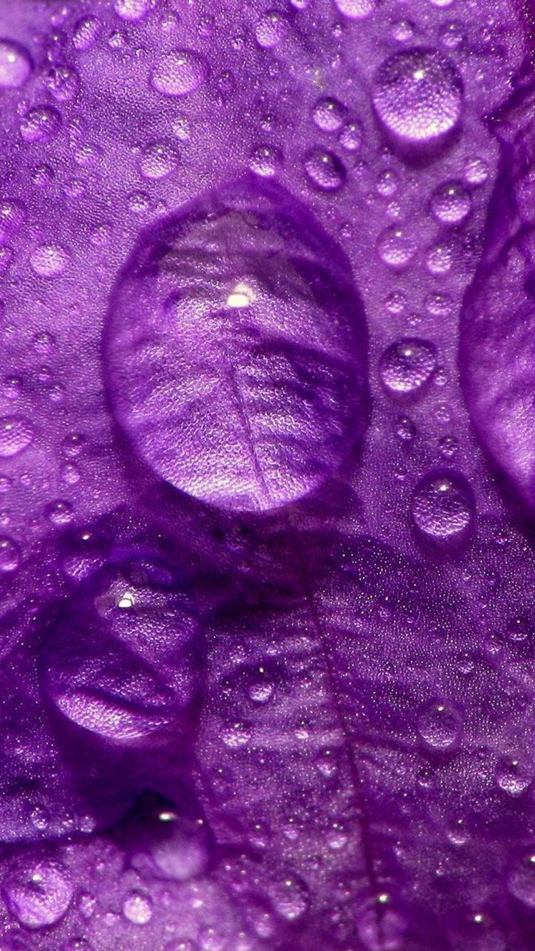 53+ Purple Background Iphone HD Quality 56