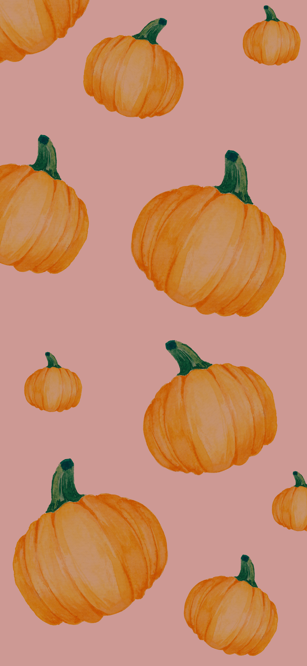 Pumpkin Iphone Wallpaper 23