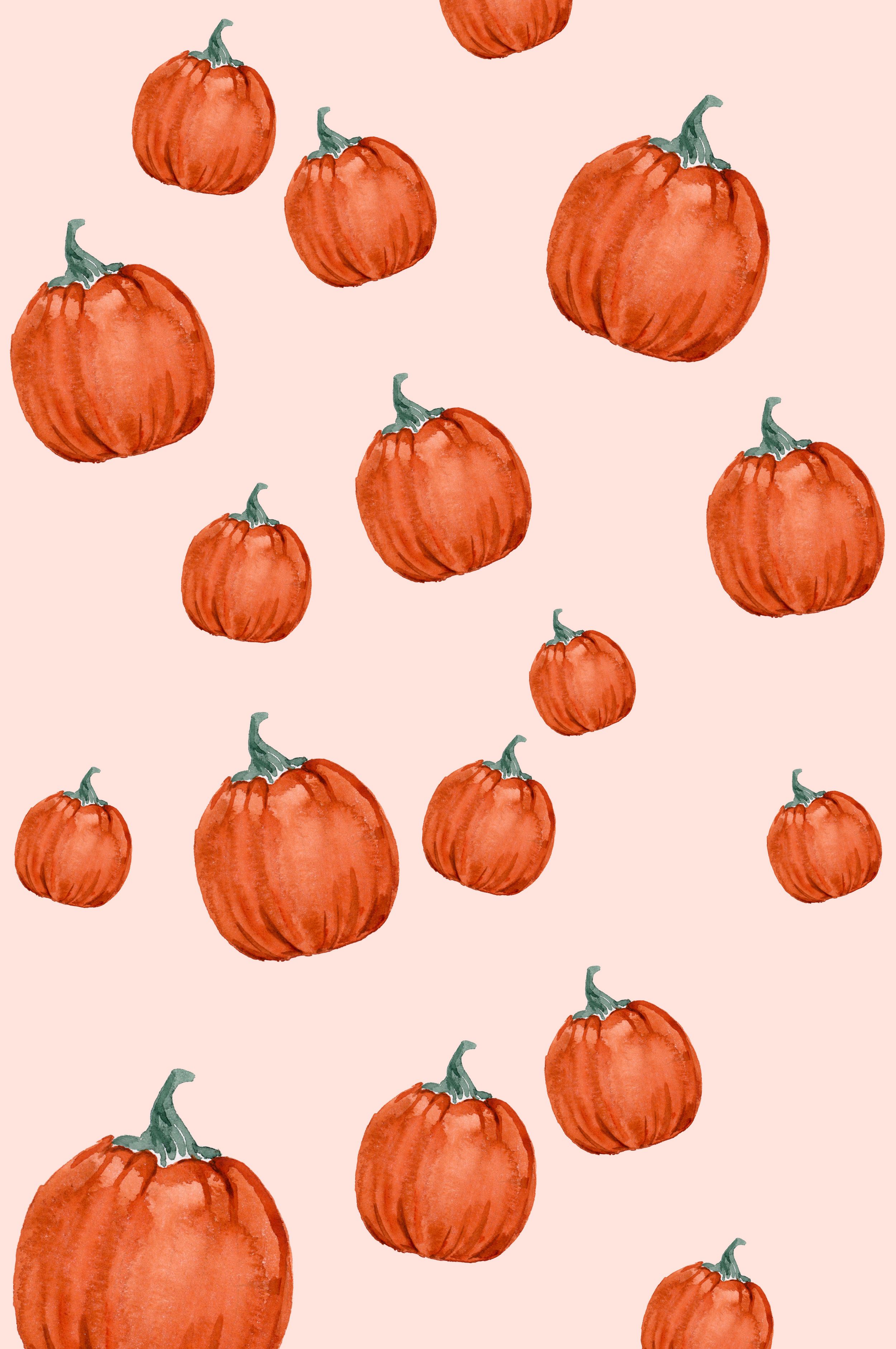 Pumpkin Iphone Wallpaper 40