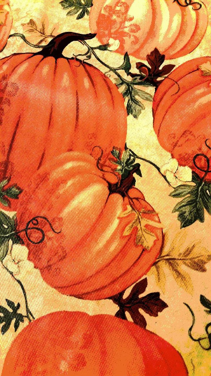 Pumpkin Iphone Wallpaper 64