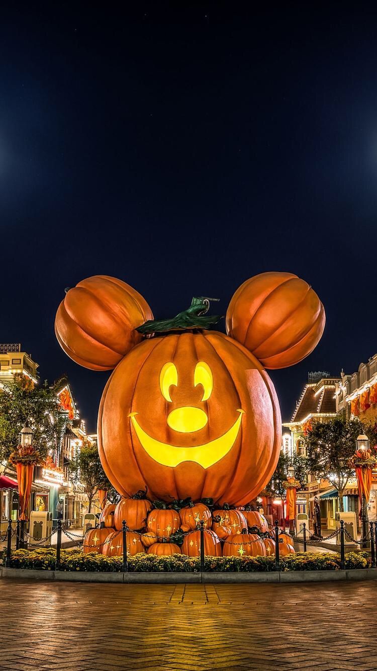 Pumpkin Iphone Wallpaper 69