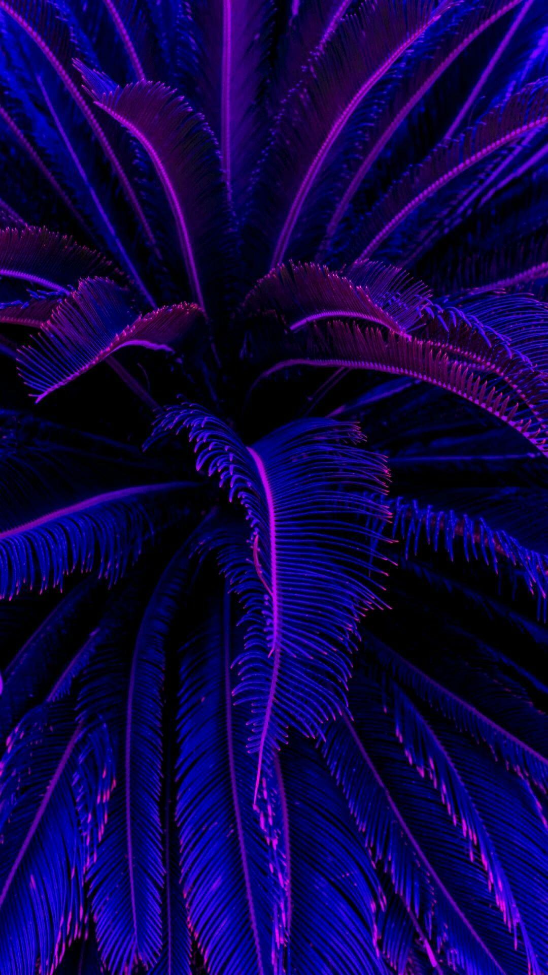 Purple Iphone Background 15