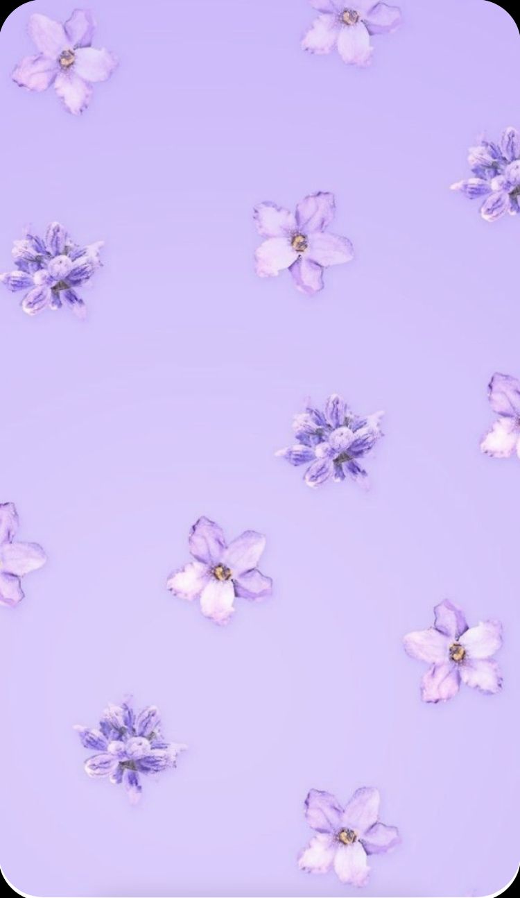 Purple Iphone Background 38