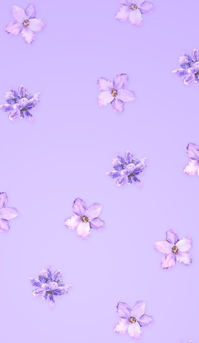 Purple Iphone Background 42