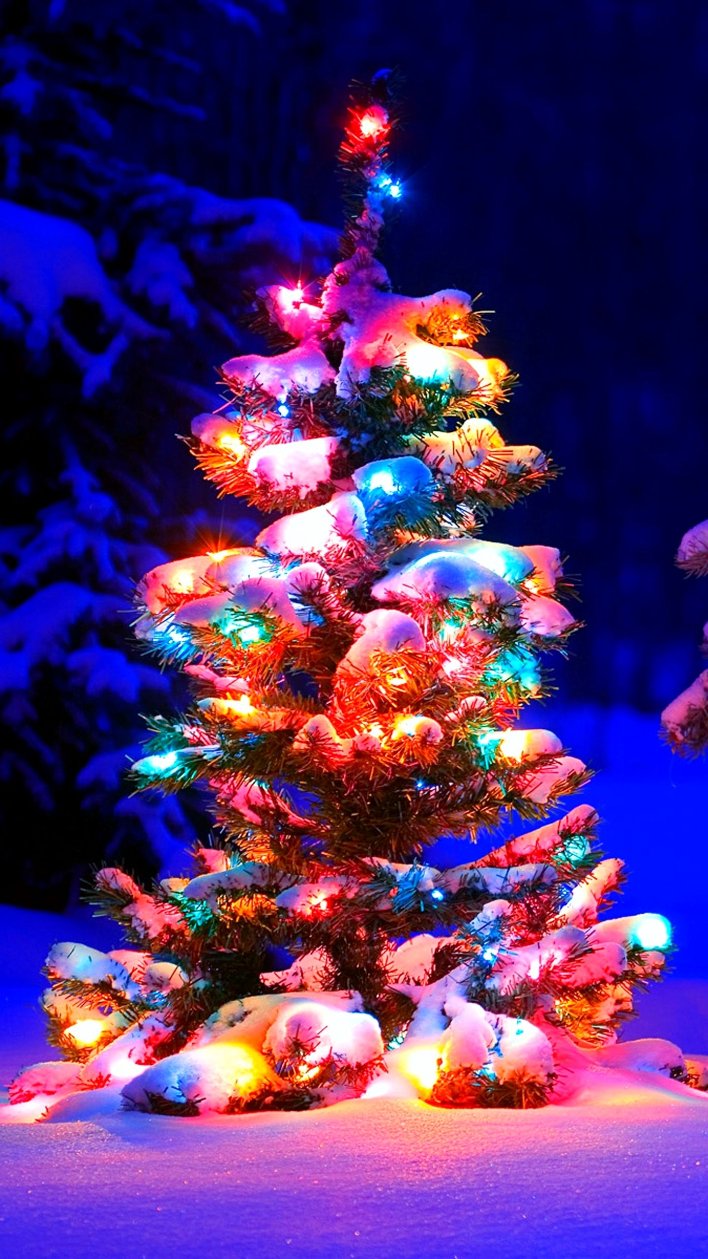 Christmas Tree Wallpaper Cute