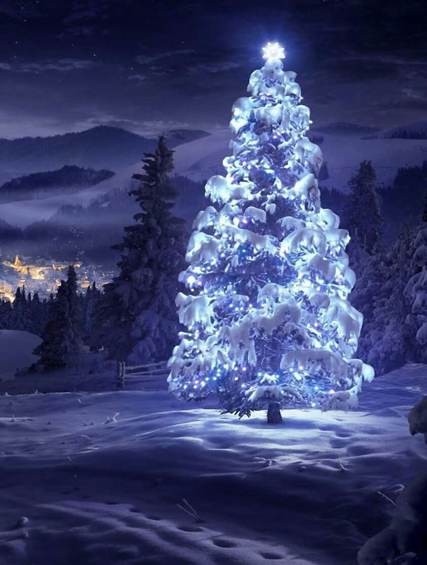 Christmas Tree Wallpaper Night