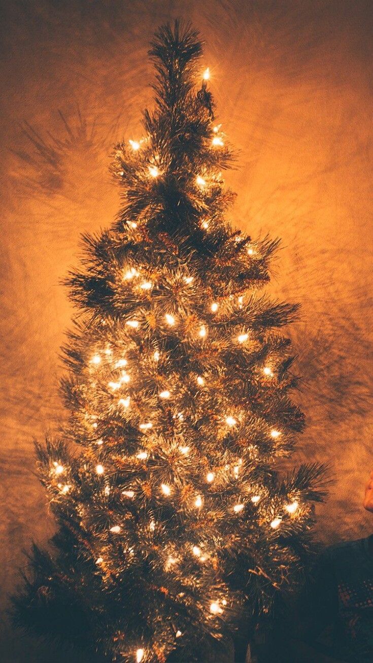 Christmas Tree Wallpaper Simple